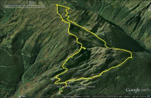 20140810+Montipius+Letasi+Montcorbison+3d3